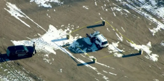 Un agente disparó e hirió a un hombre en un parque de Red Wing tras accidente automovilístico Un agente disparó e hirió a un hombre en un parque de Red Wing tras accidente automovilístico