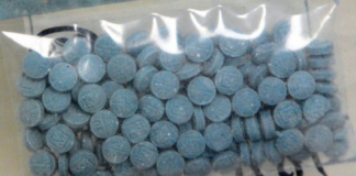 Detuvieron a 11 personas por posesión ilegal de armas y casi 10,000 pastillas de fentanilo Detuvieron a 11 personas por posesión ilegal de armas y casi 10,000 pastillas de fentanilo