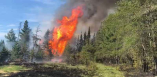 La mayor parte de Minnesota está bajo restricciones de quema debido al riesgo de incendios forestales La mayor parte de Minnesota está bajo restricciones de quema debido al riesgo de incendios forestales