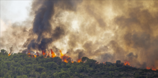 Más de dos docenas de incendios forestales reportados esta semana por los sorpresivos más de 70 grados Más de dos docenas de incendios forestales reportados esta semana por los sorpresivos más de 70 grados