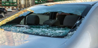 Triste: le robaran de su automóvil una caja que contenía las cenizas de su hija Triste: le robaran de su automóvil una caja que contenía las cenizas de su hija