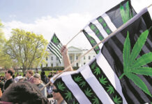 Maryland aprueba el uso recreativo de la marihuana Aprueban en Maryland el uso recreativo de la marihuana