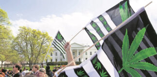 Maryland aprueba el uso recreativo de la marihuana Aprueban en Maryland el uso recreativo de la marihuana