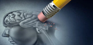 Identifican nuevos genes que aumentan riesgo de Alzheimer Identifican nuevos genes que aumentan riesgo de Alzheimer