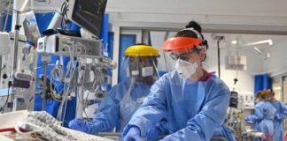 “Perro del infierno”, la nueva subvariante de covid "Perro del infierno", la nueva subvariante de covid