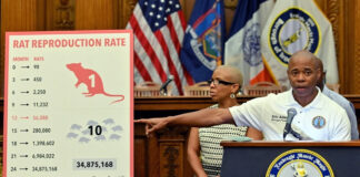 NY busca exterminador “sanguinario y con instinto asesino” NY busca exterminador "sanguinario y con instinto asesino"