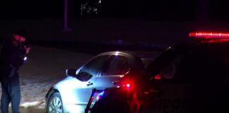 Dos jóvenes arrestados en Brooklyn Park en relación a la muerte del adolescente Syoka Ehambi Siko Dos jóvenes arrestados en Brooklyn Park en relación a la muerte del adolescente Syoka Ehambi Siko