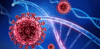 La carga viral de Covid-19 en aguas de Twin Cities aumentó un 54% La carga viral de Covid-19 en aguas de Twin Cities aumentó un 54%