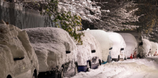 Minneapolis confirmó 770 multas y 220 vehículos remolcados durante la nevada Minneapolis confirmó 770 multas y 220 vehículos remolcados durante la nevada