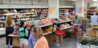 La inflación se moderó en EEUU, sólo un 5% en 12 meses La inflación se moderó en EEUU, sólo un 5% en 12 meses