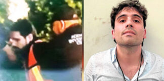 Extradiciones de Ovidio y Caro pueden tardar años Extradiciones de Ovidio y Caro pueden tardar años