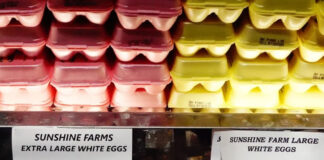 El huevo se dispara en EEUU; lo contrabandean desde México El huevo se dispara en EEUU; lo contrabandean desde México