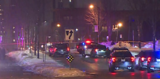 Un muerto y dos heridos tras grave tiroteo en el estacionamiento de un mercado de Minneapolis Un muerto y dos heridos tras grave tiroteo en el estacionamiento de un mercado de Minneapolis