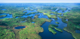 Biden tomó medidas para proteger el área virgen de Boundary Waters Canoe Area Wilderness Biden tomó medidas para proteger el área virgen de Boundary Waters Canoe Area Wilderness