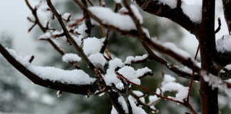 ¿El mes más frío de Minnesota se está volviendo más cálido? Gran pregunta… ¿El mes más frío de Minnesota se está volviendo más cálido? Gran pregunta...