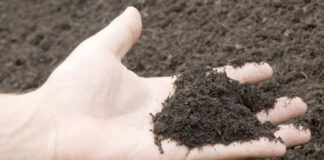 Nueva York legaliza el compostaje de cuerpos humanos Nueva York legaliza el compostaje de cuerpos humanos