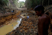 La minería del oro está matando a los yanomamis, en Brasil La minería del oro está matando a los yanomamis, en Brasil