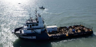 El Seahorse protege a la vaquita marina de la pesca ilegal El Seahorse protege a la vaquita marina de la pesca ilegal