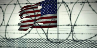 Piden a Biden declarar terroristas a cárteles mexicanos Piden a Biden declarar terroristas a cárteles mexicanos