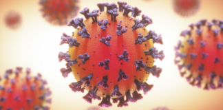 Covid-19 en Minnesota: han muerto 71 personas en la última semana Covid-19 en Minnesota: han muerto 71 personas en la última semana