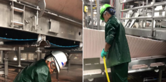 Multan con US$ 1.5 millones a la empresa que contrató menores de edad en empacadoras de carne Multan con US$ 1.5 millones a la empresa que contrató menores de edad en empacadoras de carne