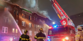 Varios perros murieron en un incendio en una casa confirman los bomberos de Minneapolis Varios perros murieron en un incendio en una casa confirman los bomberos de Minneapolis