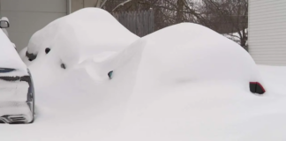 A pesar de que cayeron 20 pulgadas de nieve, la comunidad de Apple Valley lo disfrutó A pesar de que cayeron 20 pulgadas de nieve, la comunidad de Apple Valley lo disfrutó