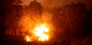 Incendios forestales en Chile ya dejan 24 muertos Incendios forestales en Chile ya dejan 24 muertos