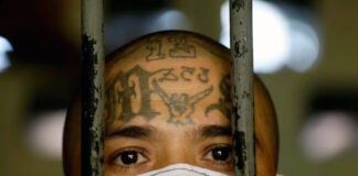 Invasión mara: Pandillas salvadoreñas migran a México Invasión mara: Pandillas salvadoreñas migran a México