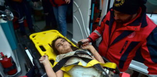 A 100 horas del sismo en Turquía, aún rescatan sobrevivientes A 100 horas del sismo en Turquía, aún rescatan sobrevivientes