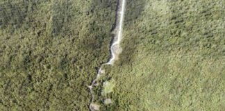 Nueva suspensión judicial en Tramo 5 del Tren Maya Nueva suspensión judicial en Tramo 5 del Tren Maya