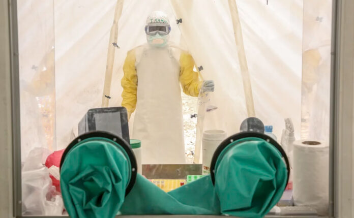 ¿Qué se sabe sobre el brote del virus de Marburgo?