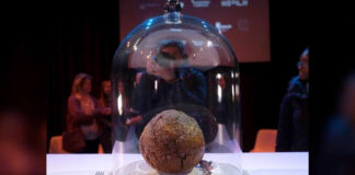 Crean en laboratorio albóndiga del extinto Mamut Crean en laboratorio albóndiga del extinto Mamut