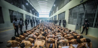 Bukele trasladará otros 2.000 reos a megacárcel de El Salvador Bukele trasladará 2.000 reos a megacárcel de El Salvador