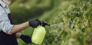 Las ciudades de Minnesota podrían adoptar reglas locales sobre el uso de pesticidas Las ciudades de Minnesota podrían adoptar reglas locales sobre el uso de pesticidas