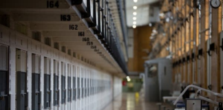 Un recluso atacó a un oficial en la cárcel de Stillwater y su perro K9 salió a defenderlo Un recluso atacó a un oficial en la cárcel de Stillwater y su perro K9 salió a defenderlo