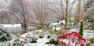 Jardineros felices: el sexto invierno con más nieve en Minnesota trae mucha agua a Twin Cities Jardineros felices: el sexto invierno con más nieve en Minnesota trae mucha agua a Twin Cities