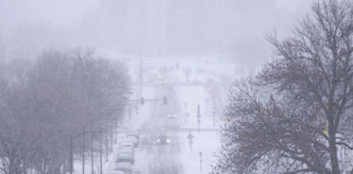 El invierno nevado de Minnesota continuará: se espera mucha nieve para jueves y viernes El invierno nevado de Minnesota continuará: se espera mucha nieve para jueves y viernes