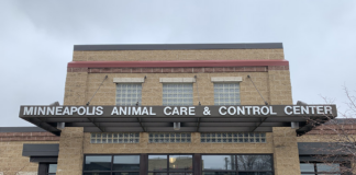 El refugio de animales de Minneapolis ahora estará abierto desde el sábado El refugio de animales de Minneapolis ahora estará abierto desde el sábado