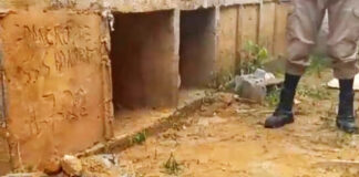 Rescatan a mujer sepultada viva por narcos en Brasil Rescatan a mujer sepultada viva por narcos en Brasil