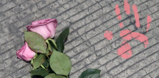 Detalles sobre las 6 mujeres desaparecidas en Celaya Detalles sobre las 6 mujeres desaparecidas en Celaya