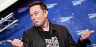 Elon Musk paga la verificación de Twitter a algunas celebridades Elon Musk paga la verificación de Twitter a algunas celebridades