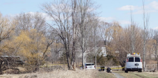 La BCA investiga el hallazgo de un hombre muerto en un parque de St. Cloud La BCA investiga el hallazgo de un hombre muerto en un parque de St. Cloud