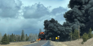 Un conductor de camión murió en un accidente en New Independence Township Un conductor de camión murió en un accidente en New Independence Township