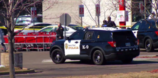 Tiroteo fatal en el vecindario de Battle Creek, cerca del cuartel de bomberos de St. Paul Tiroteo fatal en el vecindario de Battle Creek, cerca del cuartel de bomberos de St. Paul