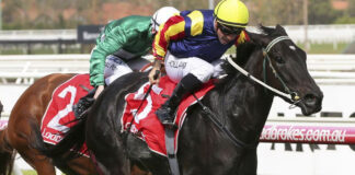Jinete cae del caballo y muere en plena carrera, en Australia Jinete cae del caballo y muere en plena carrera, en Australia
