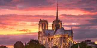 Con técnicas medievales restauran la catedral de Notre Dame Con técnicas medievales se restaura la catedral de Notre Dame