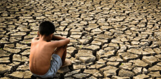 Prevén “grave aumento” de temperatura con la llegada de “El Niño” Prevén "grave aumento" de temperatura con la llegada de "El Niño"