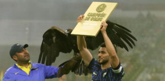 Henry Martín recibe homenaje por el título de goleo Henry Martín recibe homenaje por el título de goleo