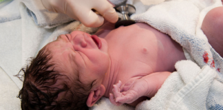 Oliver y Charlotte, los nombres más elegidos en 2022 dentro de Minnesota Oliver y Charlotte, los nombres más elegidos en 2022 dentro de Minnesota